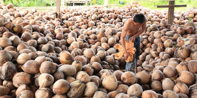 Cara Membuat Kopra Kelapa