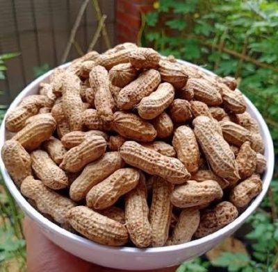 Kacang Rebus