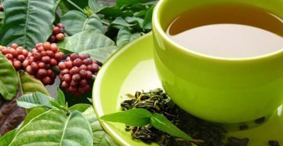 Kawa Daun