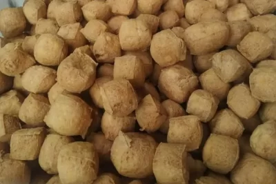 Tahu Pong